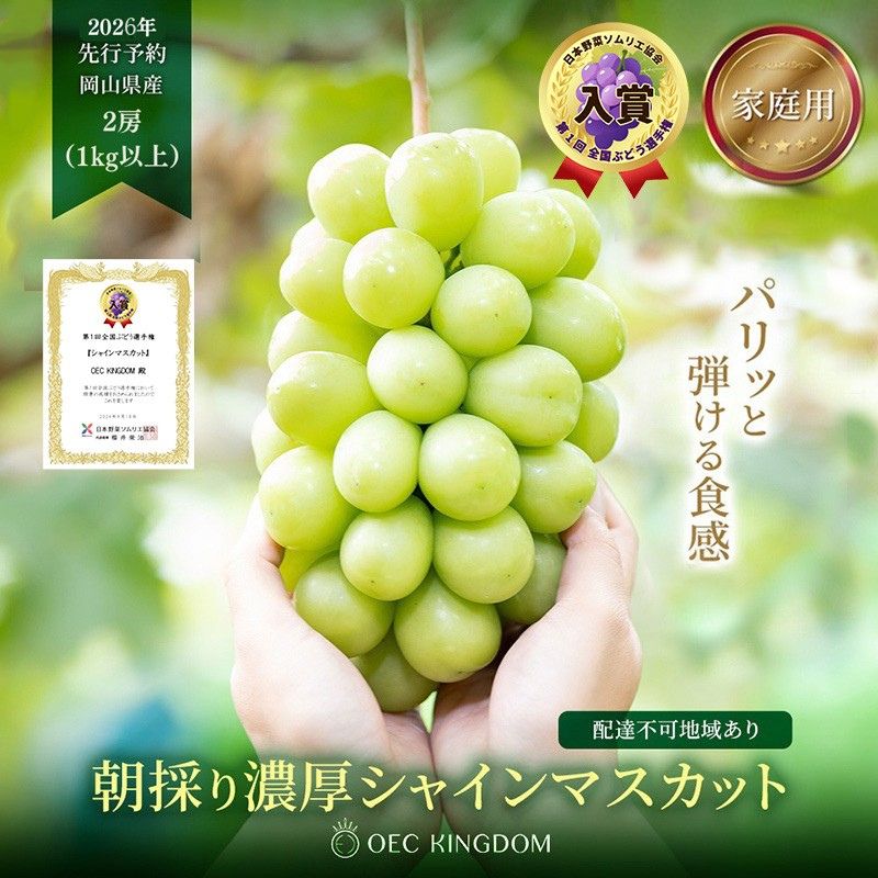 ぶどう 2026年 先行予約 ［ご家庭用］ シャイン マスカット 2房（合計1kg以上）  ブドウ 葡萄  岡山県産 国産 フルーツ 果物 OEC KINGDOM ぶどう家 果物類