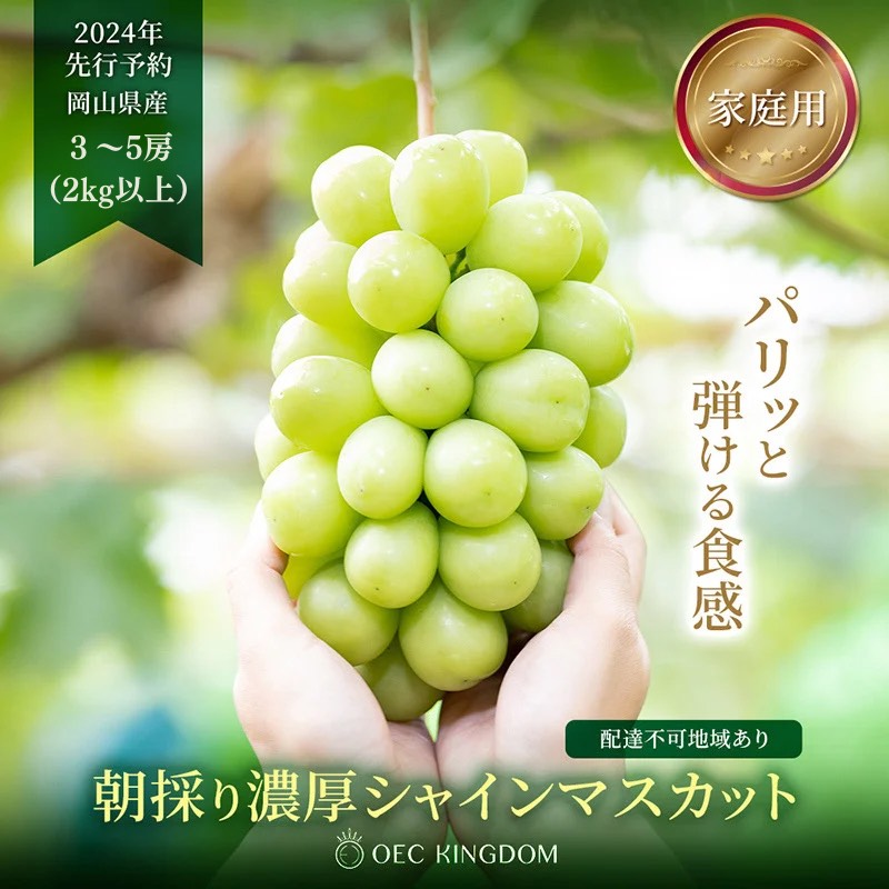 ぶどう 2024年 先行予約 ［ご家庭用］ シャイン マスカット3～5房（合計2kg以上） ブドウ 葡萄  岡山県産 国産 フルーツ 果物 OEC KINGDOM ぶどう家