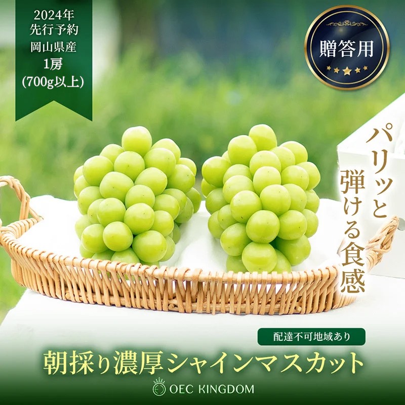 ぶどう 2024年 先行予約 シャイン マスカット 1房（700g以上）贈答クラス  ブドウ 葡萄  岡山県産 国産 フルーツ 果物 ギフト OEC KINGDOM ぶどう家