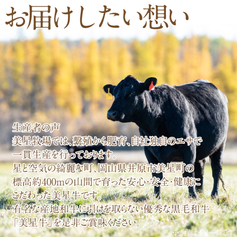 黒毛和牛 しゃぶしゃぶ すき焼き 用 約400g （約200g×2パック）A4等級 以上 牛脂付き 割りした サーロイン 美星牛 美星牧場 岡山