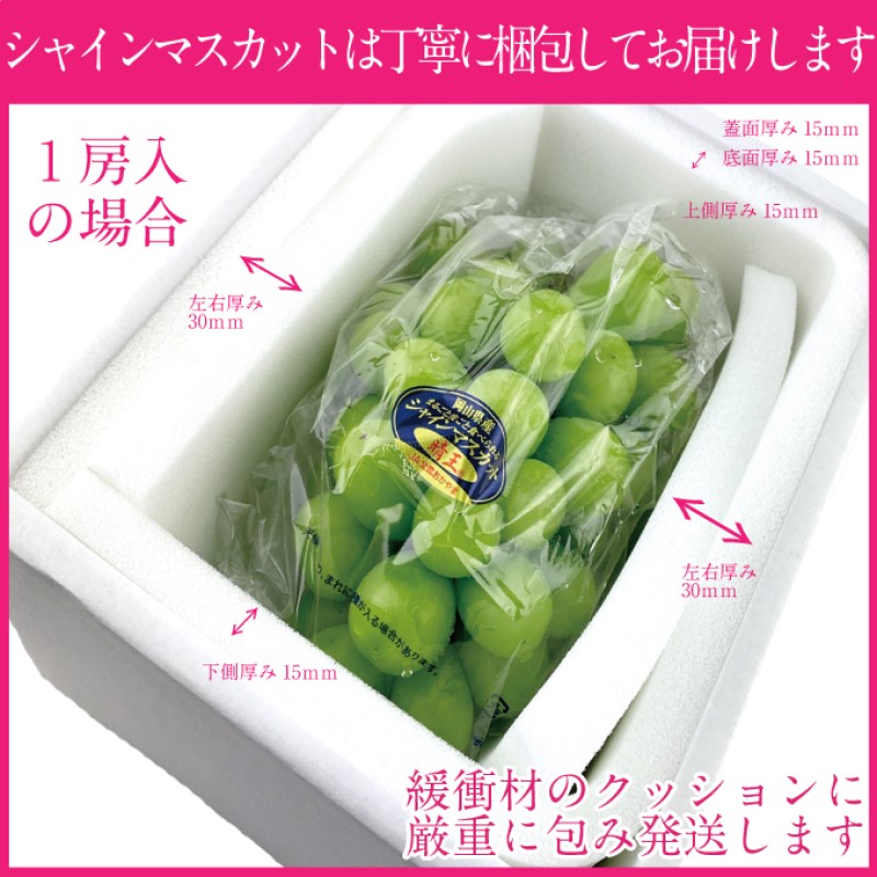 ぶどう 2025年度分 先行予約 【プレミアムシャインマスカット 晴王 1房 約550g】船穂産　赤秀品以上  岡山県産 葡萄 ブドウ ギフト ハレノフルーツ 皮ごと食べる みずみずしい 