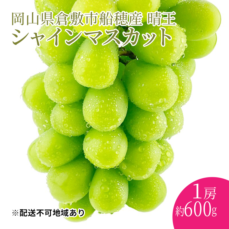 ぶどう 2026年度分 先行予約 【プレミアムシャインマスカット 晴王 1房 約600g】船穂産　赤秀品以上  岡山県産 葡萄 ブドウ ギフト ハレノフルーツ 皮ごと食べる みずみずしい
