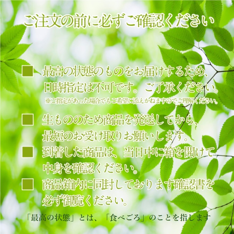ぶどう 2026年度分 先行予約 【プレミアムシャインマスカット 晴王 2房 約1.2kg】船穂産　赤秀品以上  岡山県産 葡萄 ブドウ ギフト ハレノフルーツ 皮ごと食べる みずみずしい 