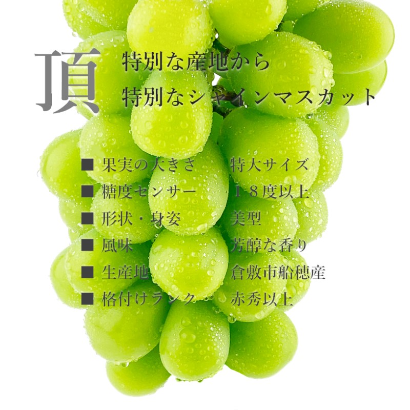 ぶどう 2026年度分 先行予約 【プレミアムシャインマスカット 晴王 2房 約1.4kg】船穂産　赤秀品以上  岡山県産 葡萄 ブドウ ギフト ハレノフルーツ 皮ごと食べる みずみずしい 