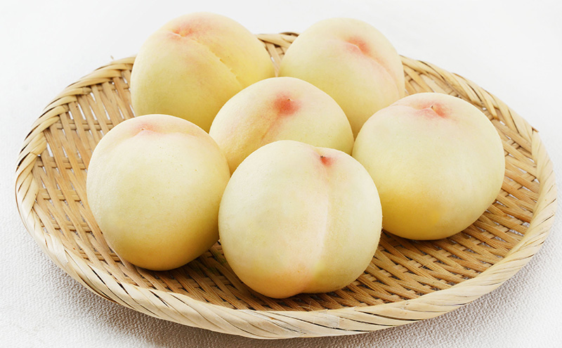 桃 2026年 先行予約 清水 白桃 6玉（1玉300g以上）化粧箱入り もも モモ 岡山県産 国産 フルーツ 果物 ギフト 