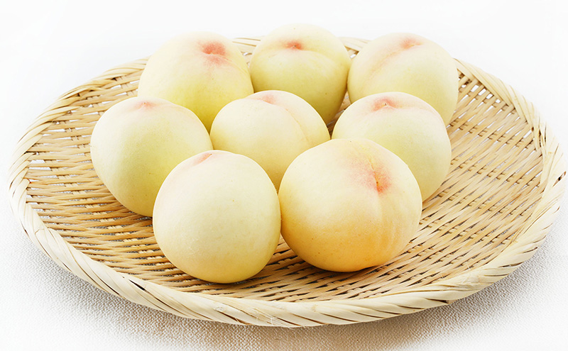 桃 2026年 先行予約 白桃 8玉（1玉200g以上）化粧箱入り もも モモ 岡山県産 国産 フルーツ 果物 ギフト 