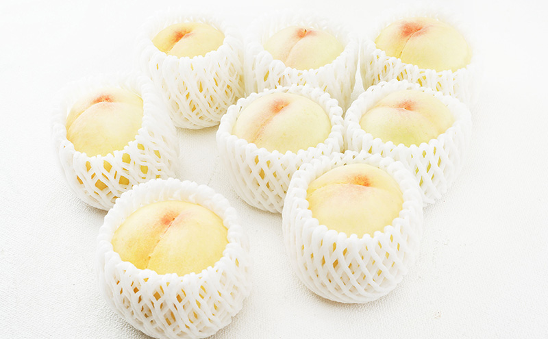 桃 2026年 先行予約 白桃 8玉（1玉200g以上）化粧箱入り もも モモ 岡山県産 国産 フルーツ 果物 ギフト 