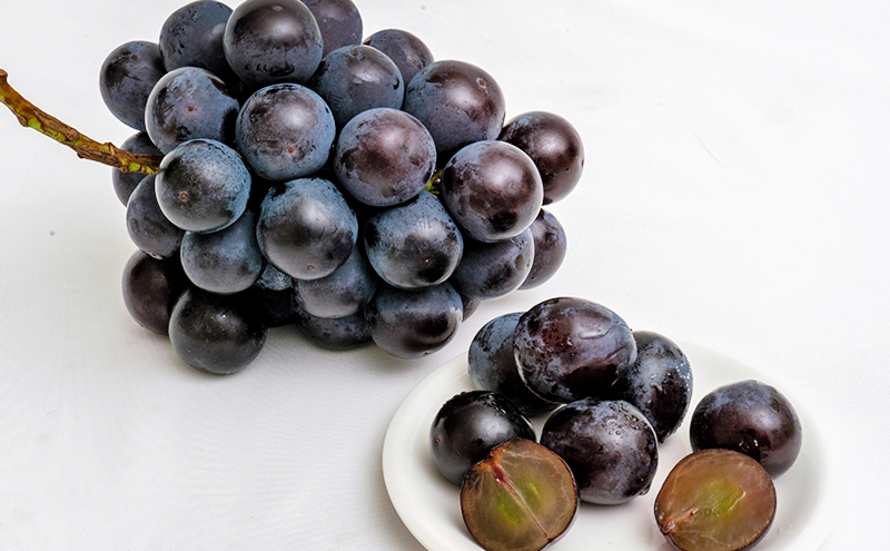 æ¡ ã¶ã©ã 2026幎 å
è¡äºçŽ æç©è©°åã çœæ¡ 2çïŒ1ç200g以äžïŒ ãã¥ãŒ ããªãŒã 2æ¿ïŒåèšçŽ940gïŒåç²§ç®±å
¥ã 岡山çç£ åœç£ ãã«ãŒã ã®ãã ãã ã»ãã