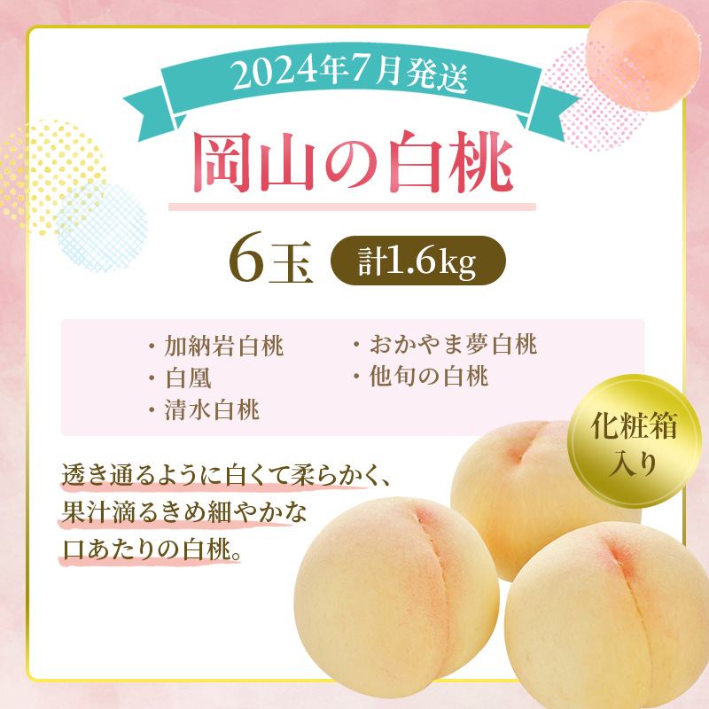 桃 定期便 2024年 先行予約 岡山 の 桃 食べ比べ 3回コース もも モモ 岡山県産 国産 フルーツ 果物 ギフト