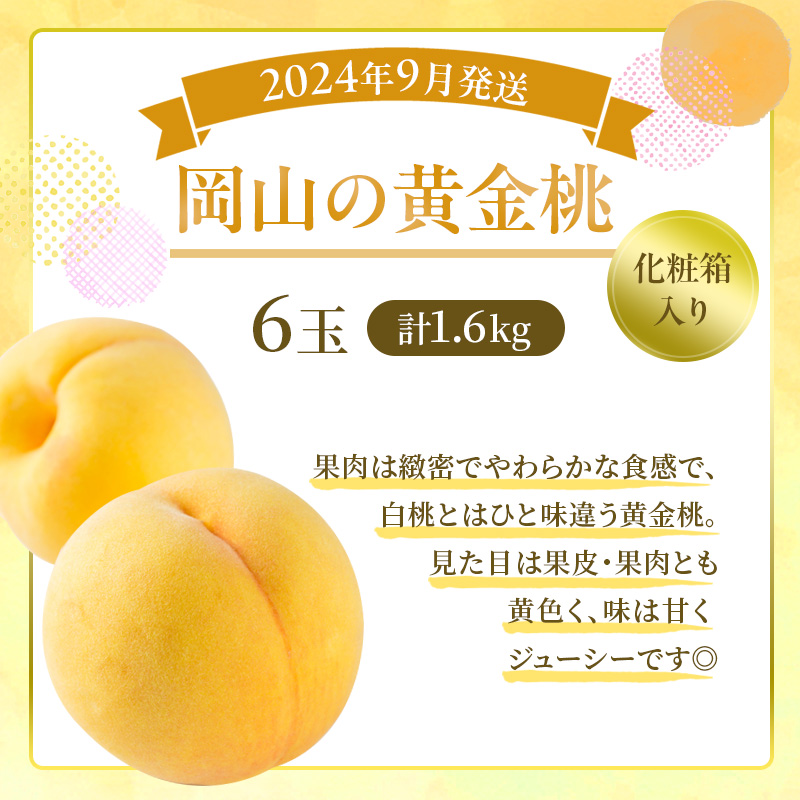 桃 定期便 2024年 先行予約 岡山 の 桃 食べ比べ 3回コース もも モモ 岡山県産 国産 フルーツ 果物 ギフト
