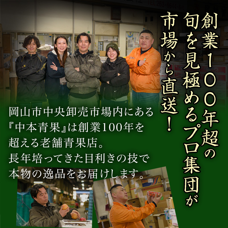 桃 定期便 2024年 先行予約 岡山 の 桃 食べ比べ 3回コース もも モモ 岡山県産 国産 フルーツ 果物 ギフト