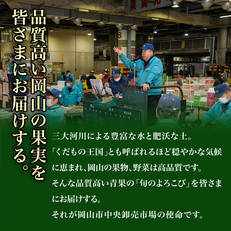 フルーツ 定期便 2025年 先行予約 フルーツ王国 岡山 厳選 果物 （7月 9月 10月）3回コース 桃 もも 葡萄 ぶどう 岡山県産 国産 セット ギフト