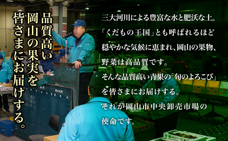 桃 2026年 先行予約 岡山 の 白桃 6玉（合計1.6kg以上）化粧箱入り もも モモ 岡山県産 国産 フルーツ 果物 ギフト 