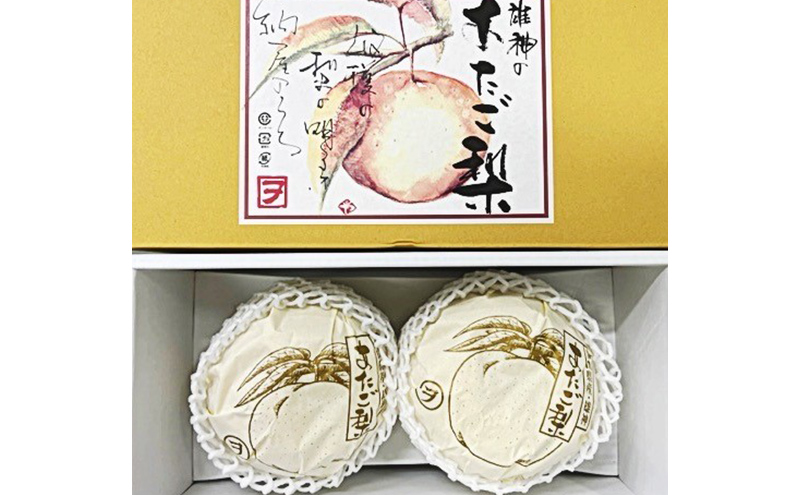 梨 2024年 先行予約 あたご梨 2玉（約1.7kg） 化粧箱入り なし ナシ 岡山県産 国産 フルーツ 果物 ギフト