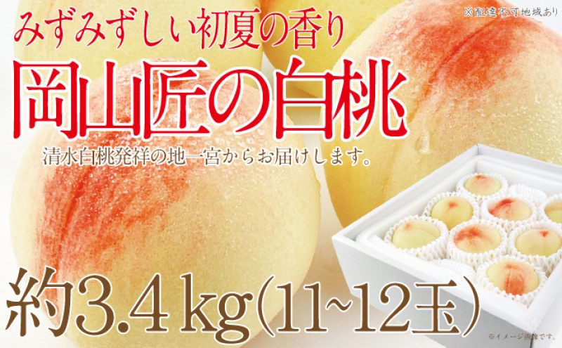 もも 2025年 先行予約 岡山匠の白桃 約3.4kg 11～12玉 犬塚農園 岡山県産 清水白桃 桃 モモ ギフト 初夏 みずみずしい