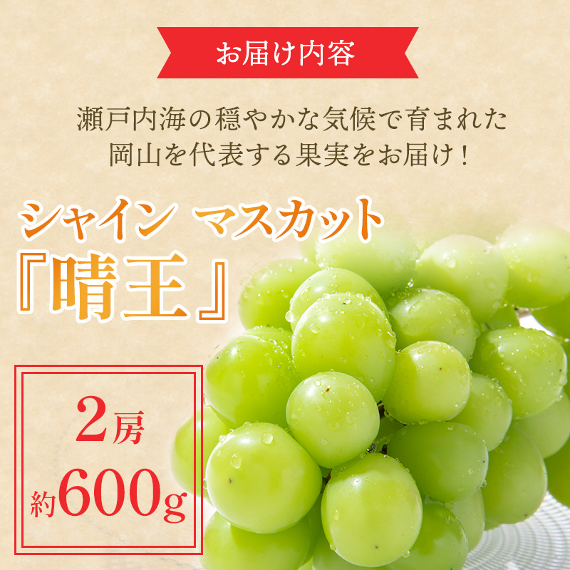 ぶどう 2025年 先行予約 シャイン マスカット 晴王 約600g×2房 ブドウ 葡萄  岡山県産 国産 フルーツ 果物 ギフト 果物類 