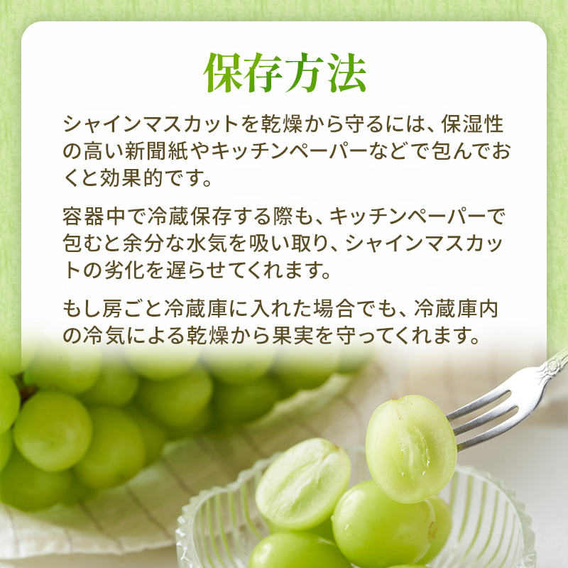 ぶどう 2025年 先行予約 シャイン マスカット 晴王 約600g×2房 ブドウ 葡萄  岡山県産 国産 フルーツ 果物 ギフト 果物類 