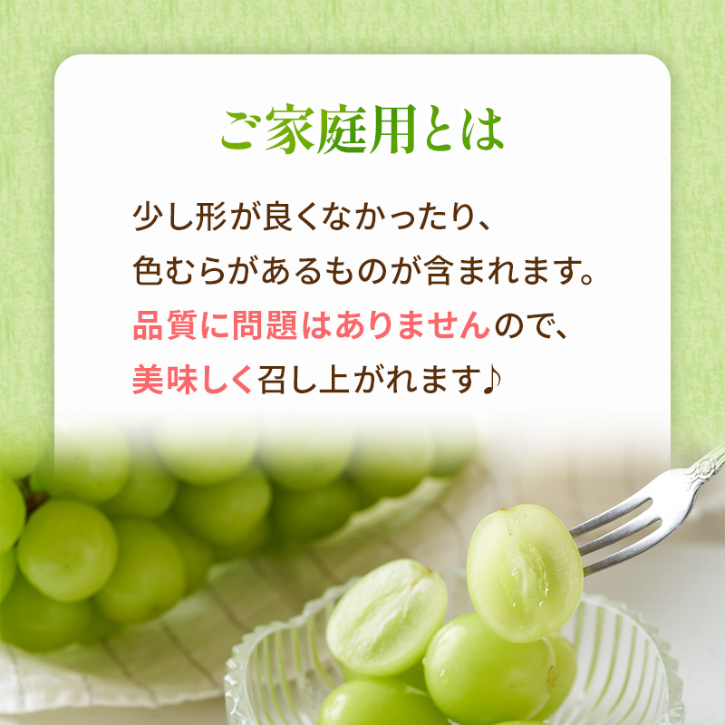 ぶどう 2024年 先行予約 ご家庭用 シャイン マスカット 晴王 3～6房 約2kg ブドウ 葡萄  岡山県産 国産 フルーツ 果物