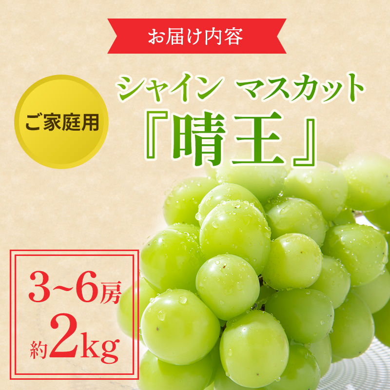 ぶどう 2024年 先行予約 ご家庭用 シャイン マスカット 晴王 3～6房 約2kg ブドウ 葡萄  岡山県産 国産 フルーツ 果物