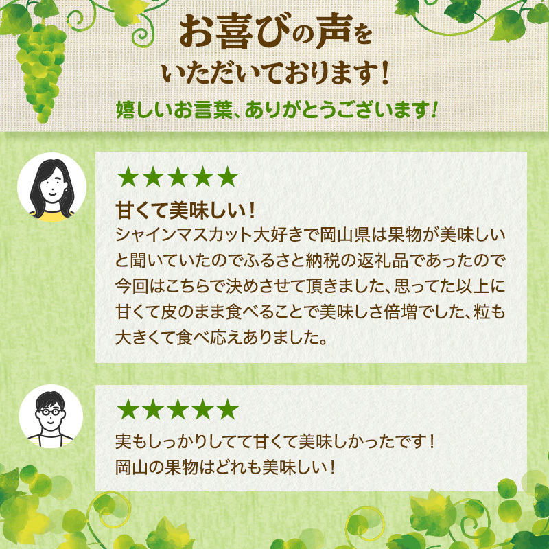 ぶどう 2026年 先行予約 ご家庭用 シャイン マスカット 晴王 3～6房 約2kg ブドウ 葡萄  岡山県産 国産 フルーツ 果物 太陽 美しい 外観 大粒 高糖度 種なし 皮ごと 弾力 食感 美味しい 
