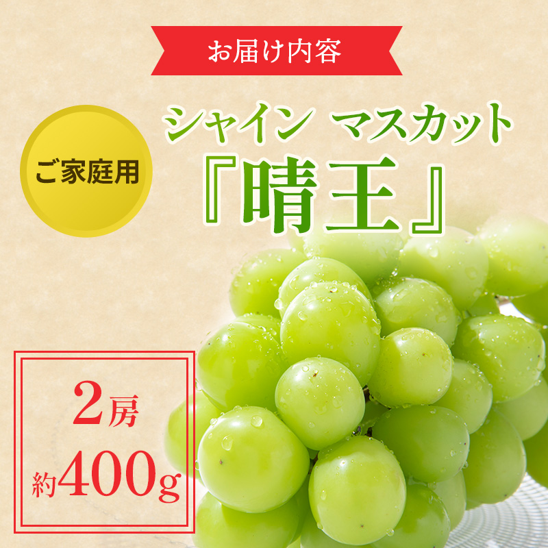 ぶどう 2024年 先行予約 ご家庭用 シャイン マスカット 晴王 約400g×2房 ブドウ 葡萄  岡山県産 国産 フルーツ 果物