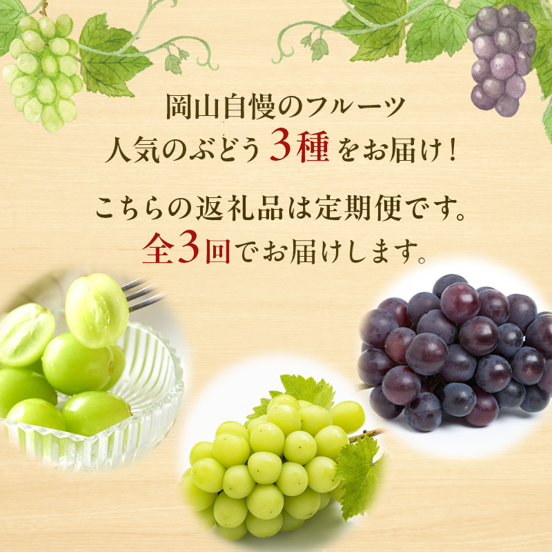 ぶどう 定期便 2024年 先行予約 晴れの国 岡山 の ぶどう定期便 3回コース 葡萄 ブドウ 岡山県産 国産 セット ギフト