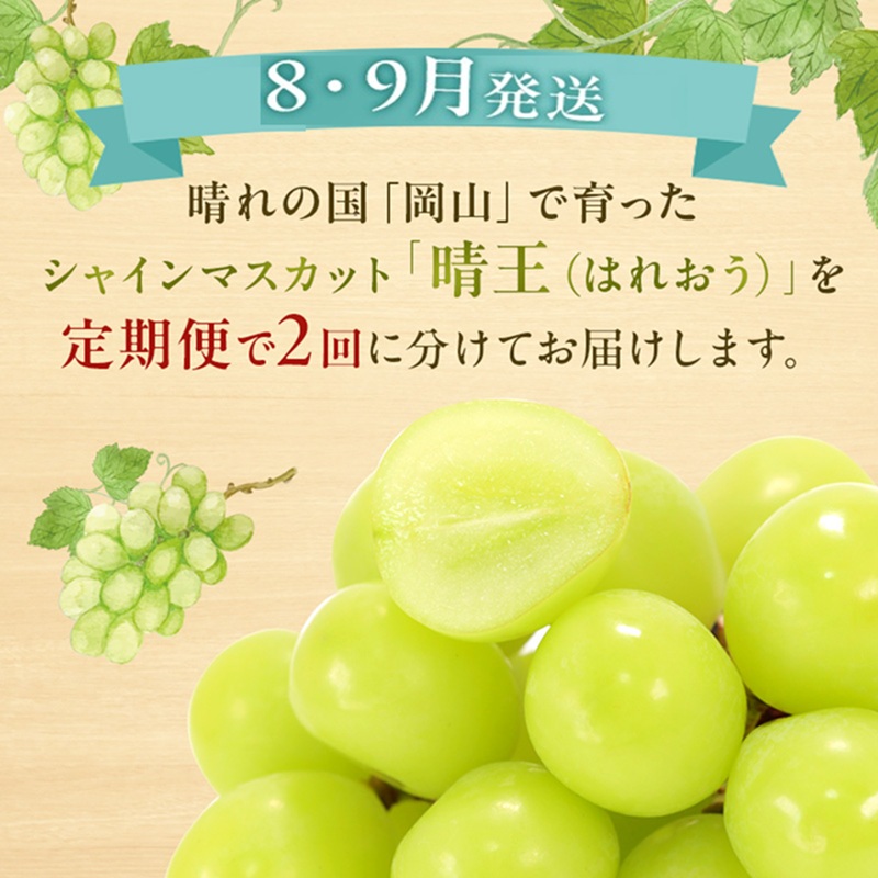 ぶどう 定期便 2026年 先行予約 シャイン マスカット 晴王 各月2房（1房600g以上） 2回コース マスカット ブドウ 葡萄  岡山県産 国産 フルーツ 果物 ギフト 上品な香り 最高級 大粒 種なし 