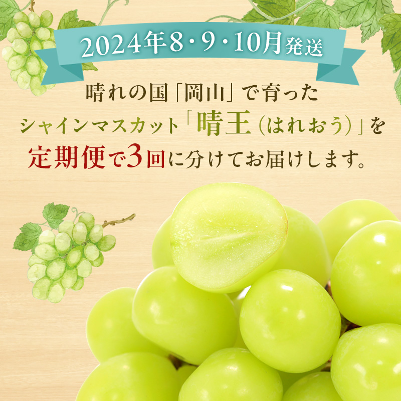 ぶどう 定期便 2024年 先行予約 シャイン マスカット 晴王 各月2房（1房600g以上） 3回コース マスカット ブドウ 葡萄  岡山県産 国産 フルーツ 果物 ギフト