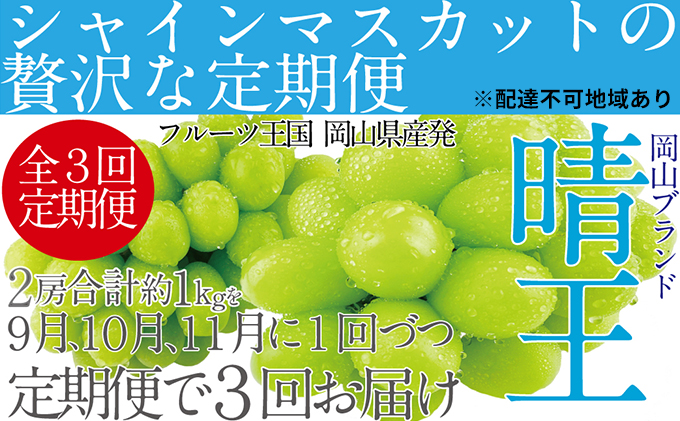 ぶどう 2024年 9月・10月・11月発送 シャイン マスカット 晴王 2房 (合計約1kg) ブドウ 葡萄 岡山県産 国産 フルーツ 果物 ギフト