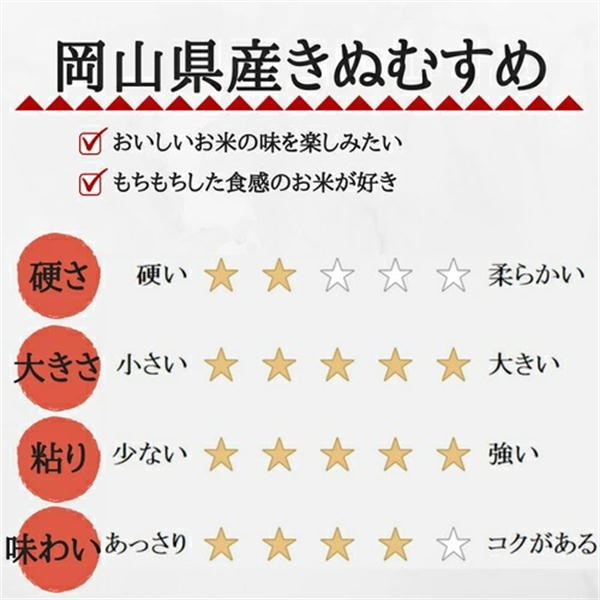 令和6年産 無洗米 きぬむすめ 5kg (5kg×1袋) 岡山県産 お米