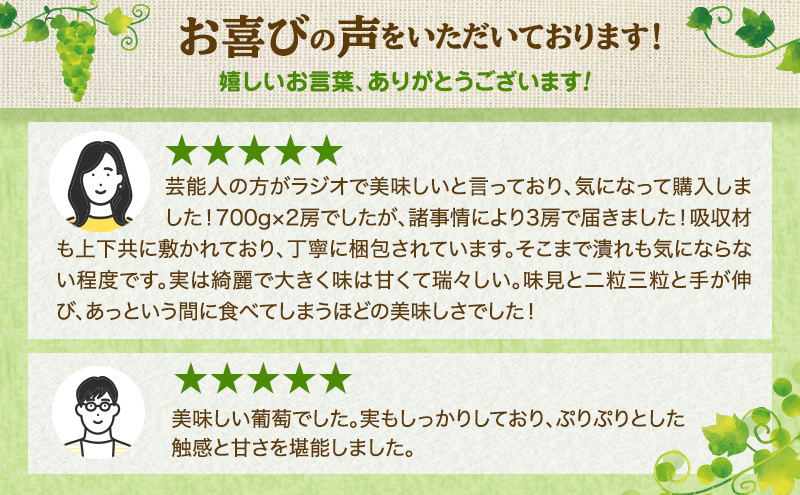 ぶどう 2026年 先行予約 桃太郎ぶどう約1.3kg 2～3房 ブドウ 葡萄  岡山県産 国産 フルーツ 果物 ギフト
