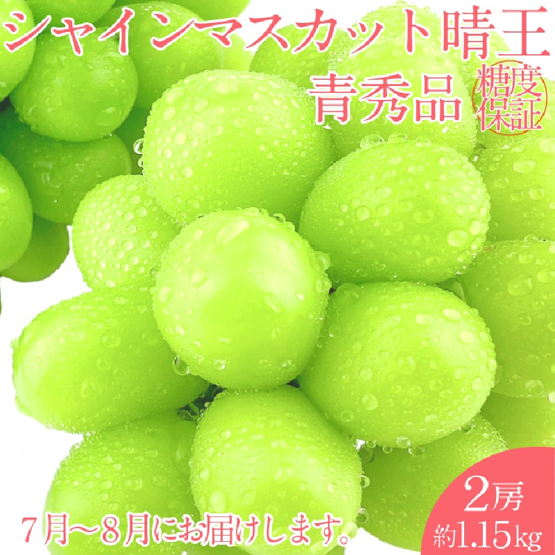 【2025年 予約受付中】 シャインマスカット 晴王 2房約1.15kg 7月～8月出荷/ 岡山県産 種無し 皮ごと食べる みずみずしい フレッシュ 晴れの国 おかやま 果物大国 彩美菜果