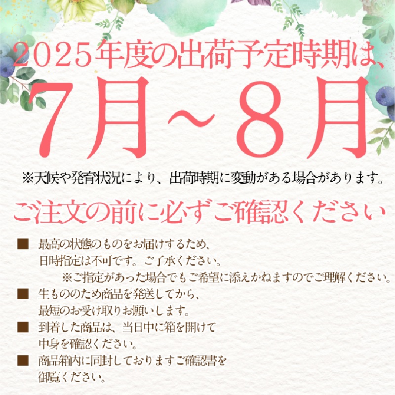 【2025年 予約受付中】 シャインマスカット 晴王 2房約1.15kg 7月～8月出荷/ 岡山県産 種無し 皮ごと食べる みずみずしい フレッシュ 晴れの国 おかやま 果物大国 彩美菜果