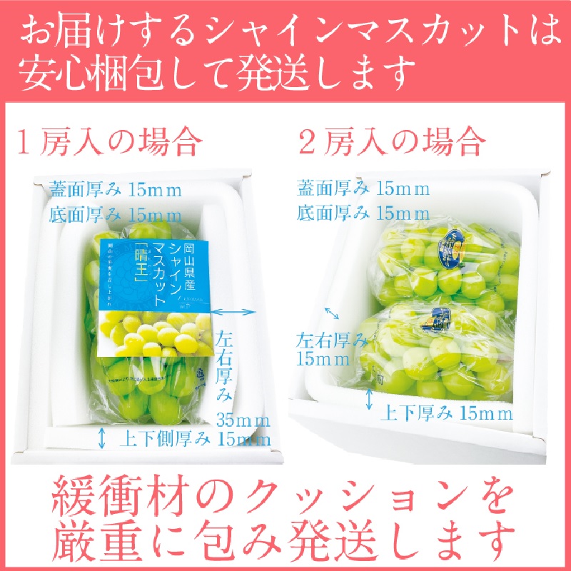 【2025年 予約受付中】 シャインマスカット 晴王 2房約1.15kg 7月～8月出荷/ 岡山県産 種無し 皮ごと食べる みずみずしい フレッシュ 晴れの国 おかやま 果物大国 彩美菜果