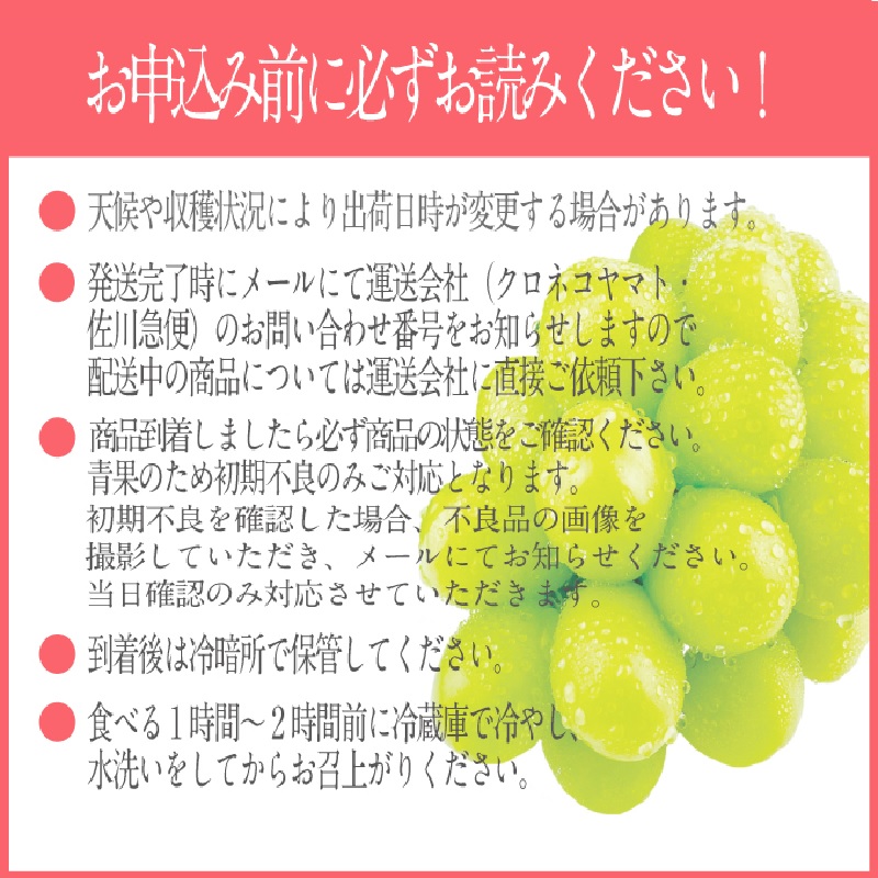 【2025年 予約受付中】 シャインマスカット 晴王 2房約1.15kg 7月～8月出荷/ 岡山県産 種無し 皮ごと食べる みずみずしい フレッシュ 晴れの国 おかやま 果物大国 彩美菜果