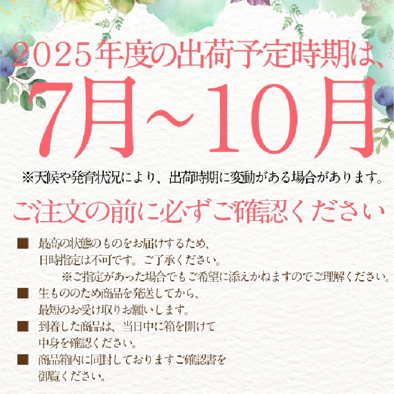 2025年 予約受付中【3回定期便】 シャインマスカット 晴王 2房約1.15kg 7月8月9月に出荷/ 岡山県産 種無し 皮ごと食べる みずみずしい  フレッシュ 晴れの国 おかやま 果物大国 彩美菜果