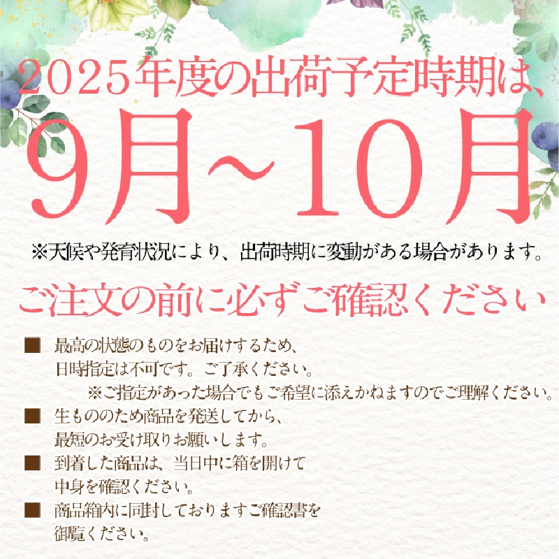 2025年 予約受付中【4回定期便】 シャインマスカット 晴王 2房約1.15kg 7月8月9月10月に1回ずつ出荷/ 岡山県産 種無し 皮ごと食べる みずみずしい  フレッシュ 晴れの国 おかやま 果物大国 彩美菜果