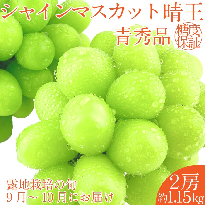 【2025年 予約受付中】 シャインマスカット 晴王 2房約1.15kg 9月～10月出荷/ 岡山県産 種無し 皮ごと食べる みずみずしい フレッシュ 晴れの国 おかやま 果物大国 彩美菜果