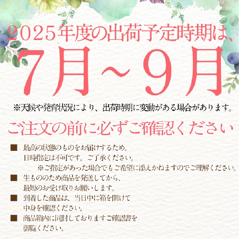 2025年 予約受付中【3回定期便】 シャインマスカット 晴王 1房 約620g 7月～9月出荷/ 岡山県産 種無し 皮ごと食べる みずみずしい  フレッシュ 晴れの国 おかやま 果物大国 彩美菜果