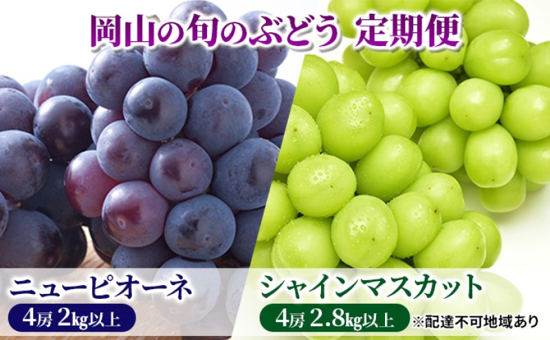 フルーツ 定期便 【2025年 先行予約】 ニュー ピオーネ 4房2kg以上 シャインマスカット 4房2.8kg以上 岡山県産 国産 セット ギフト