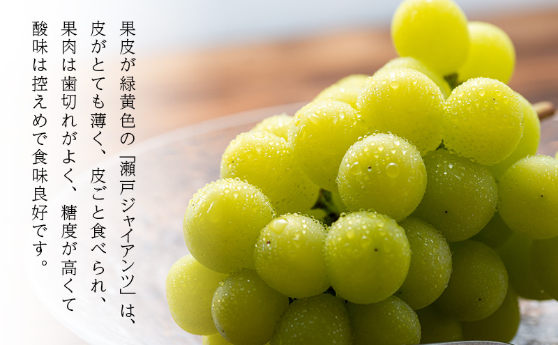 ã¶ã©ã 2026幎 å
è¡äºçŽ ç¬æžãžã£ã€ã¢ã³ã 3æ¿(åèš2kg以äž) ãã㊠è¡è 岡山çç£ åœç£ ãã«ãŒã æç© ã®ãã æ²³æ¬èŸ²å