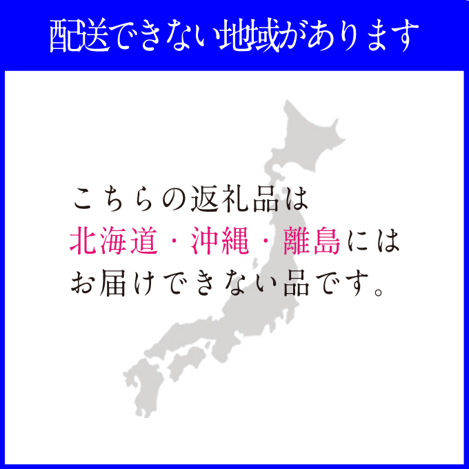 2026年予約受付中【2回定期便】 プレミアムシャインマスカット晴王 1房約700g/人気 岡山県産 赤秀品  種無し 皮ごと食べる みずみずしい 9月・10月にお届け   ハレノフルーツ