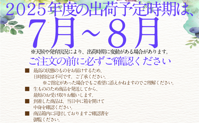 2025年予約受付中 シャインマスカット 晴王 7月～8月出荷 2房 約1.2kg  人気 岡山県産 種無し 皮ごと食べる みずみずしい  フレッシュ 晴れの国 おかやま 果物大国 ハレノフルーツ