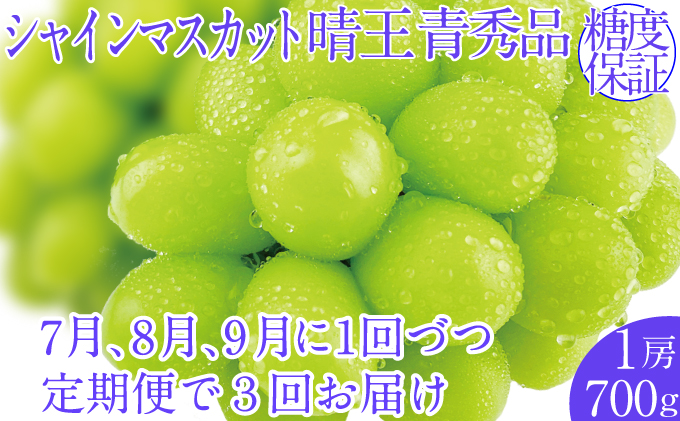 2025年予約受付中【3回定期便】シャインマスカット晴王1房 約700g 7月8月9月に出荷  人気 岡山県産 種無し 皮ごと食べる みずみずしい   おかやま 果物大国 ハレノフルーツ