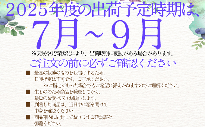 2025年予約受付中【3回定期便】シャインマスカット晴王1房 約700g 7月8月9月に出荷  人気 岡山県産 種無し 皮ごと食べる みずみずしい   おかやま 果物大国 ハレノフルーツ