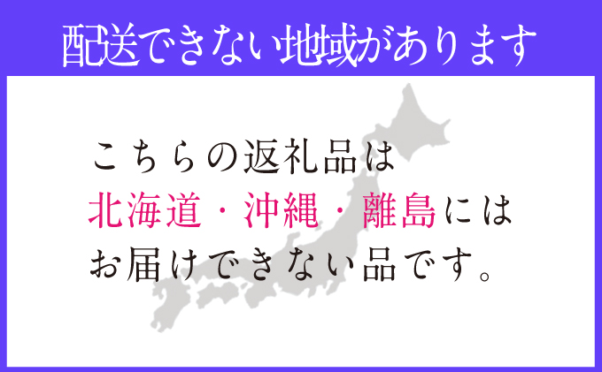 2026年予約受付中 シャインマスカット 晴王 7月～8月出荷 2房 約1.2kg  人気 岡山県産 種無し 皮ごと食べる みずみずしい  フレッシュ 晴れの国 おかやま 果物大国 ハレノフルーツ