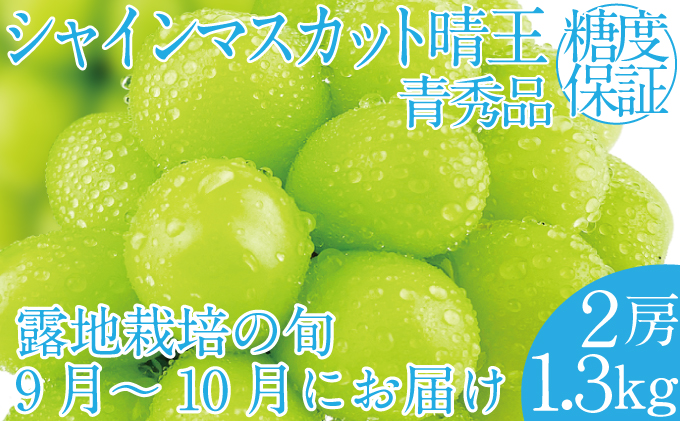 2026年 先行予約受付中 シャインマスカット晴王2房 約1.3kg 岡山県産 種無し 皮ごと食べる みずみずしい 甘い フレッシュ 瀬戸内 晴れの国 おかやま 果物大国 ハレノフルーツ