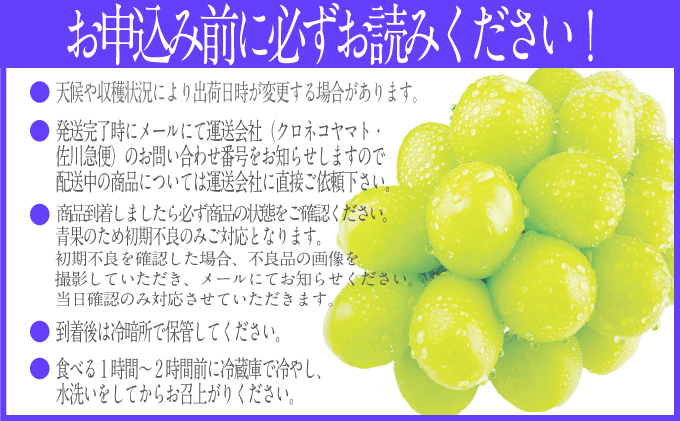 2025年予約受付中 シャインマスカット晴王 7月～8月出荷 2房 約1.4kg  人気 岡山県産 種無し 皮ごと食べる みずみずしい  フレッシュ 晴れの国 おかやま 果物大国 ハレノフルーツ