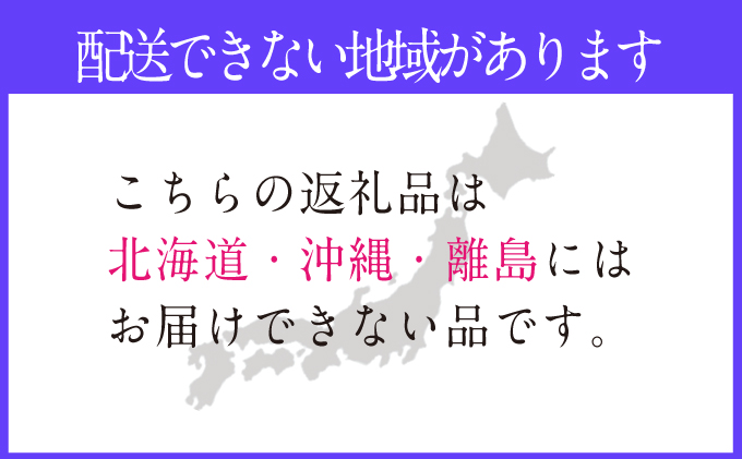 2025年予約受付中 シャインマスカット晴王 7月～8月出荷 2房 約1.4kg  人気 岡山県産 種無し 皮ごと食べる みずみずしい  フレッシュ 晴れの国 おかやま 果物大国 ハレノフルーツ