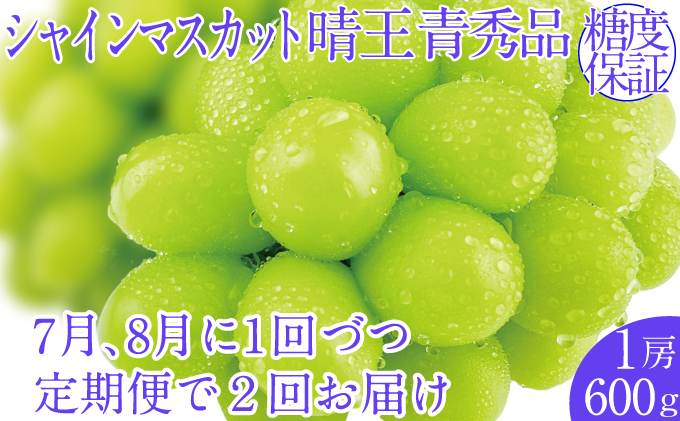 2025年予約受付中【2回定期便】シャインマスカット晴王 1房 約600g 7月8月に出荷 人気 岡山県産 種無し 皮ごと食べる みずみずしい  フレッシュ 晴れの国 おかやま 果物大国 ハレノフルーツ